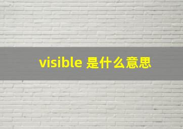 visible 是什么意思